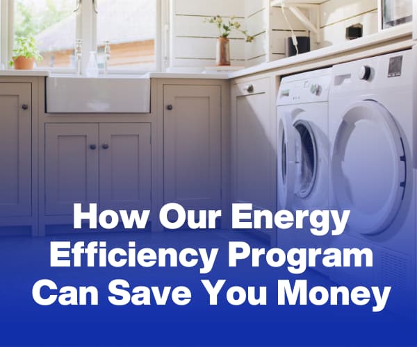 How our energy efficiency program can save you money